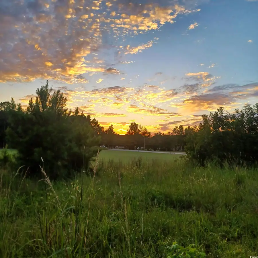 0 Winnie Rd., Nichols, SC 29581 - Image #3