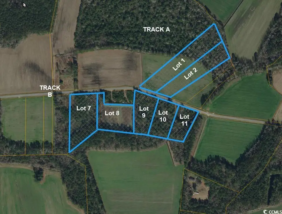 Lot 10 Oak Grove Church Rd., Nichols, SC 29581 - Image #1