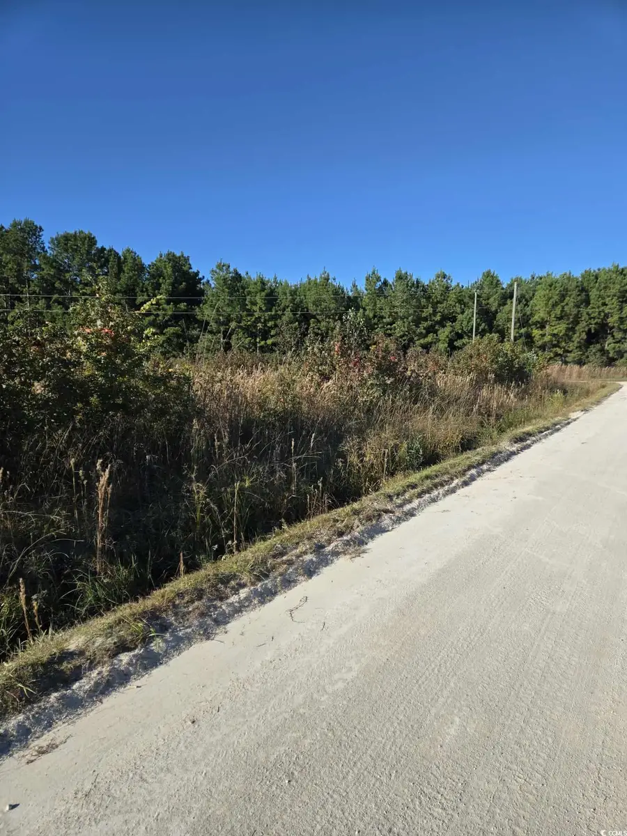 TBD Tranquil Rd., Conway, SC 29527 - Image #2
