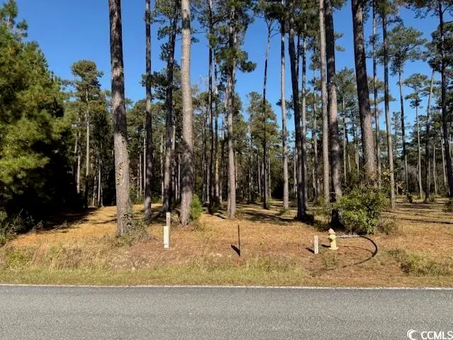 1.25 Acs Long Avenue Ext., Conway, SC 29526 - Image #2