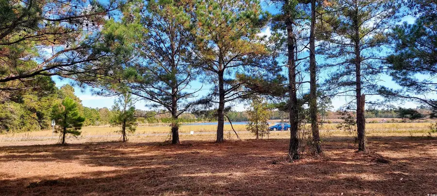 3025 Fowler Rd., Loris, SC 29569 - Image #2