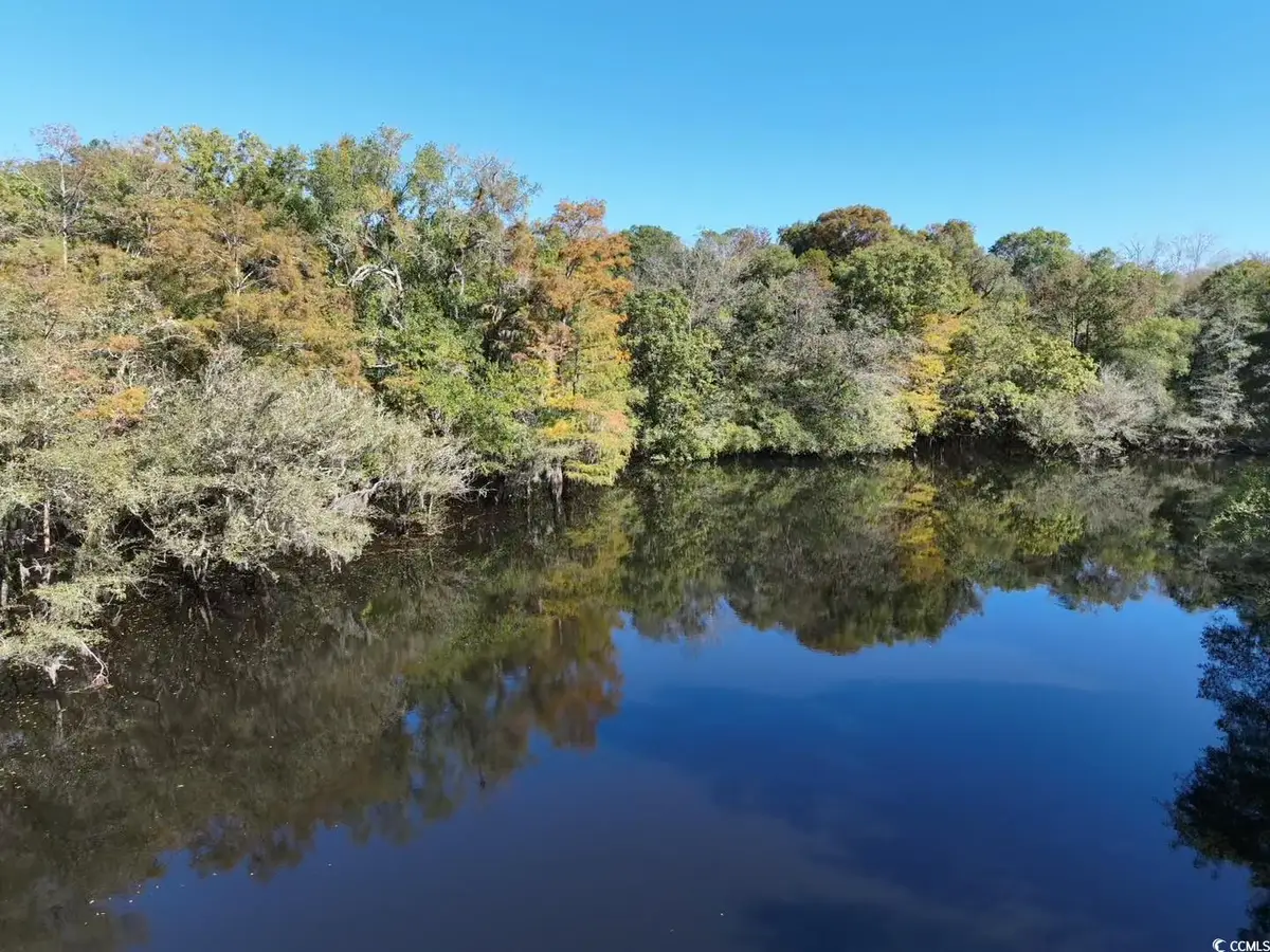 Martin Luther King Jr. Hwy., Kingstree, SC 29556 - Image #1