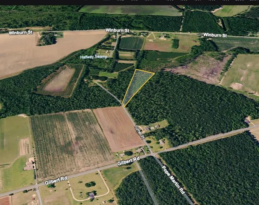 TBD Turner Pl., Conway, SC 29526 - Image #3