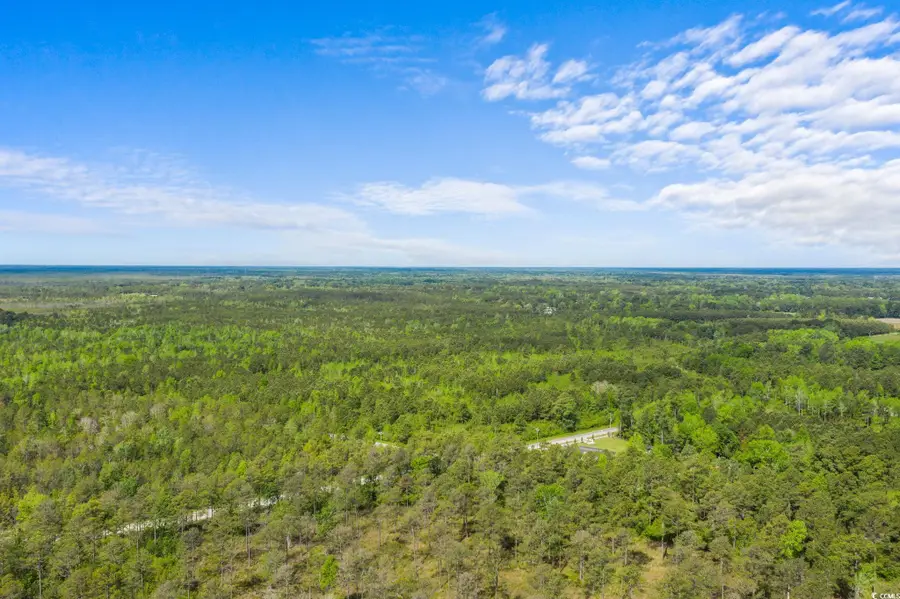 TBD Water Tower Rd., Longs, SC 29568 - Image #3