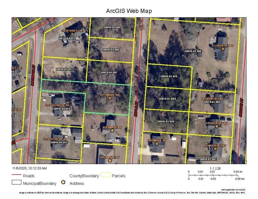 551 Maple Ave., Johnsonville, SC 29555 - Image #2