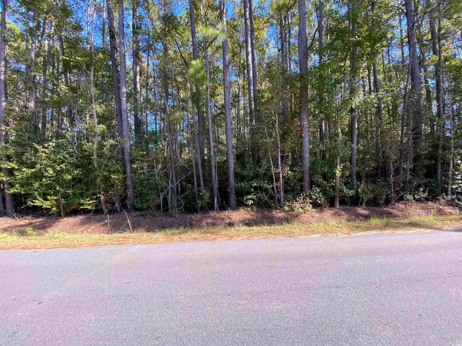 2105 Chavis Rd., Conway, SC 29526 - Image #2