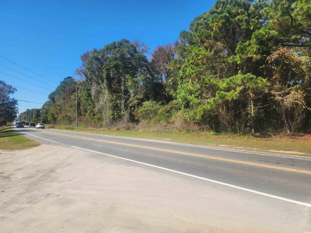 TBD81 Highway 90, Longs, SC 29568 - Image #1