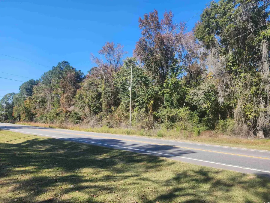 TBD81 Highway 90, Longs, SC 29568 - Image #2