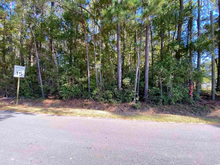 2127 Chavis Rd., Conway, SC 29526 - Image #2