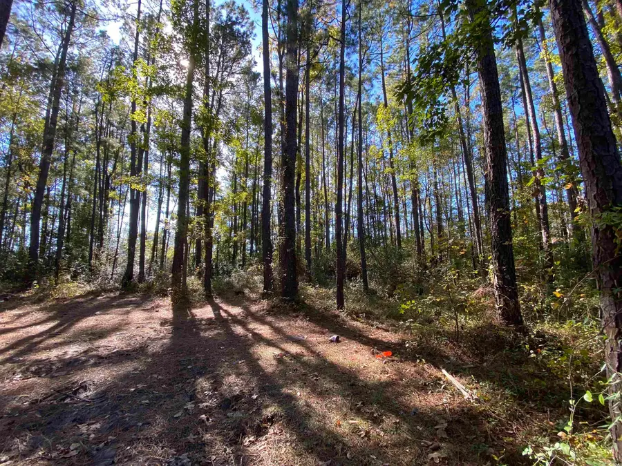 2127 Chavis Rd., Conway, SC 29526 - Image #3