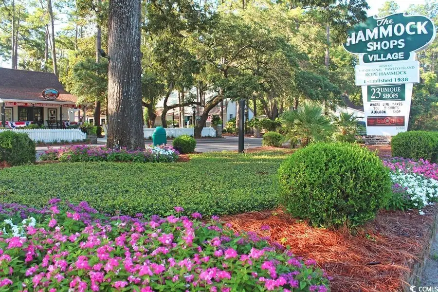 98 Henderson Way, Pawleys Island, SC 29585 - Image #3