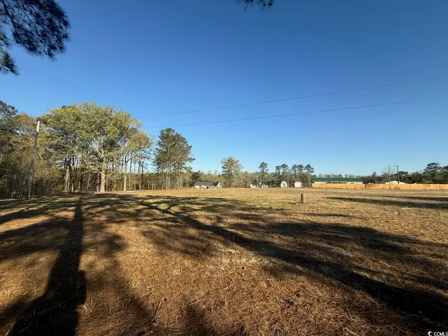 TBD Janice Ct, Latta, SC 29565 - #2