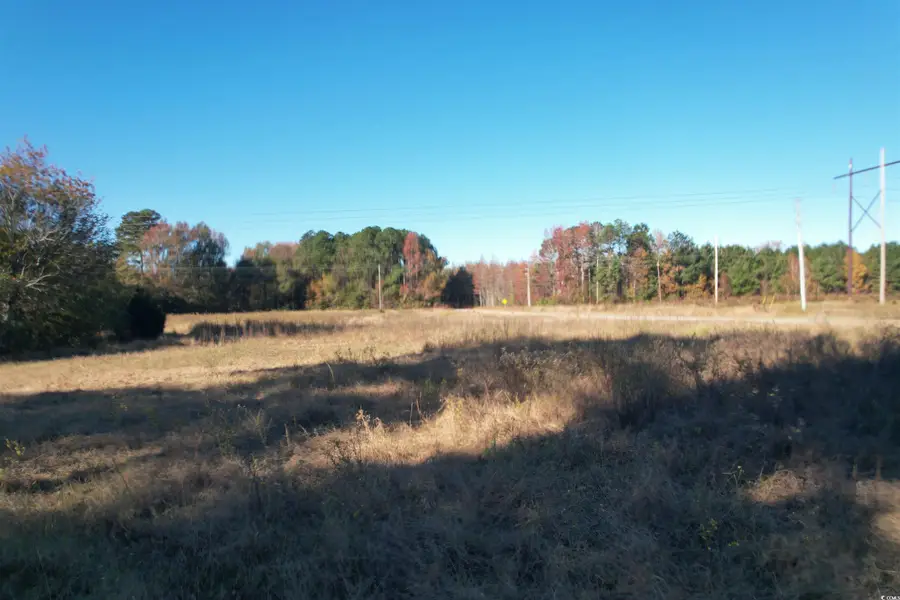 TBD Carroll Rd., Latta, SC 29565 - Image #2
