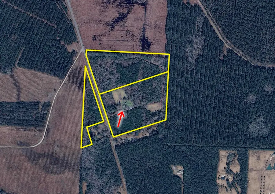 3264 Ten Acre Rd., Andrews, SC 29510 - Image #2