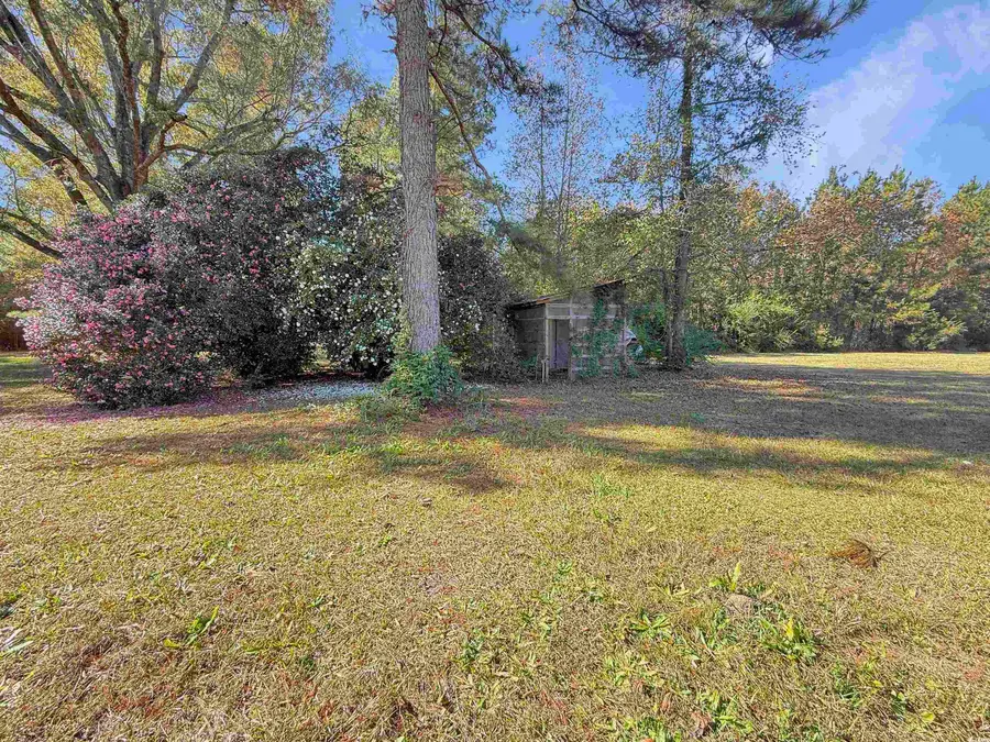 3264 Ten Acre Rd., Andrews, SC 29510 - Image #3