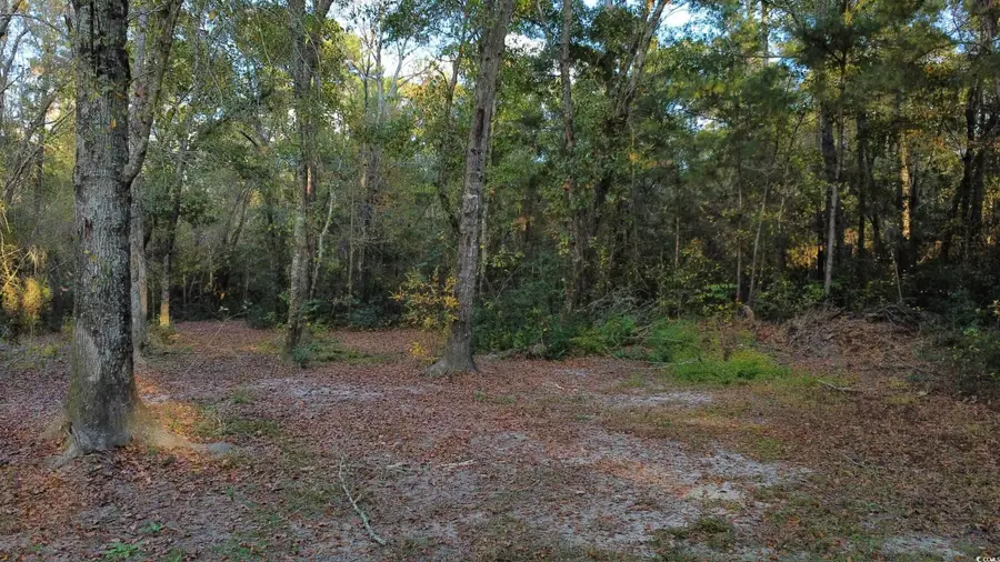 TBD Salem Rd., Aynor, SC 29511 - Image #2