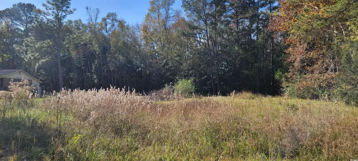 121 Oak Log Lake Rd., Conway, SC 29526 - Image #1