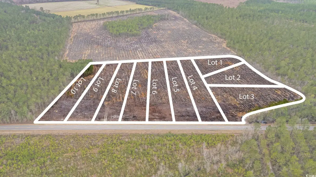 TBD Joyner Swamp Rd., Galivants Ferry, SC 29544 - Image #1