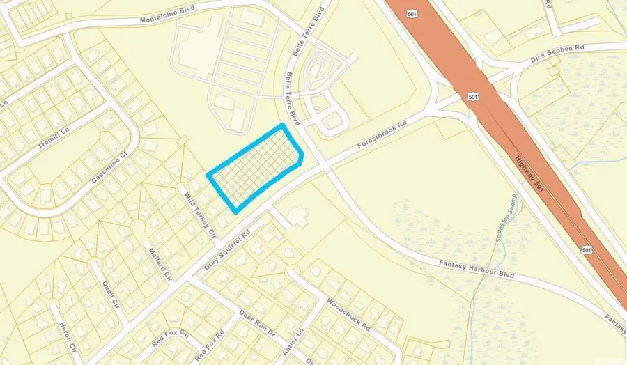 TBD Belle Terre Blvd., Myrtle Beach, SC 29588 - Image #2