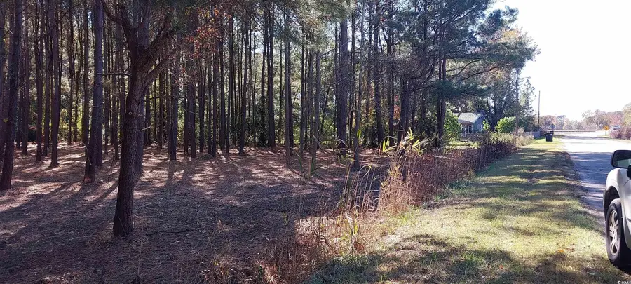 0 Millers Rd., Mullins, SC 29574 - Image #2