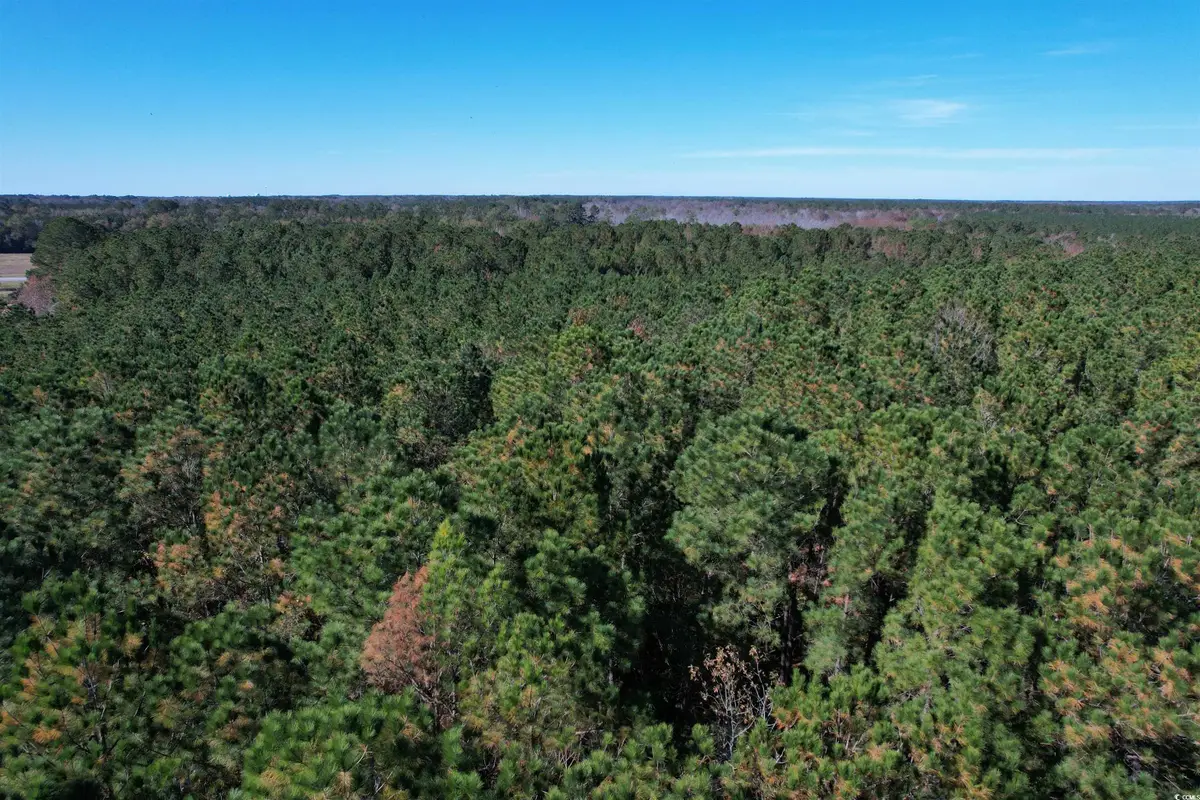 7.90 Acres-TBD Puncheon Creek Dr., Andrews, SC 29510 - Image #1