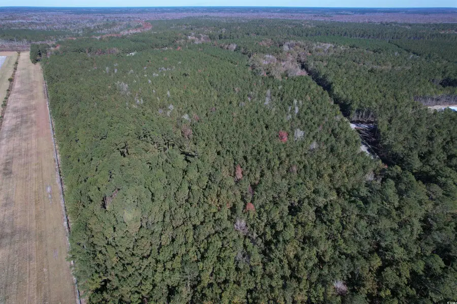 7.90 Acres-TBD Puncheon Creek Dr., Andrews, SC 29510 - Image #2