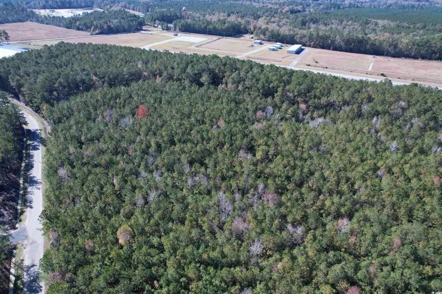 7.90 Acres-TBD Puncheon Creek Dr., Andrews, SC 29510 - Image #3