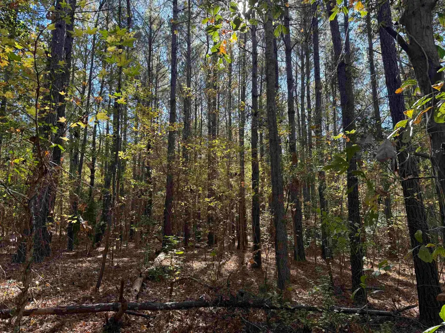 793 Puncheon Creek Dr., Andrews, SC 29510 - Image #3