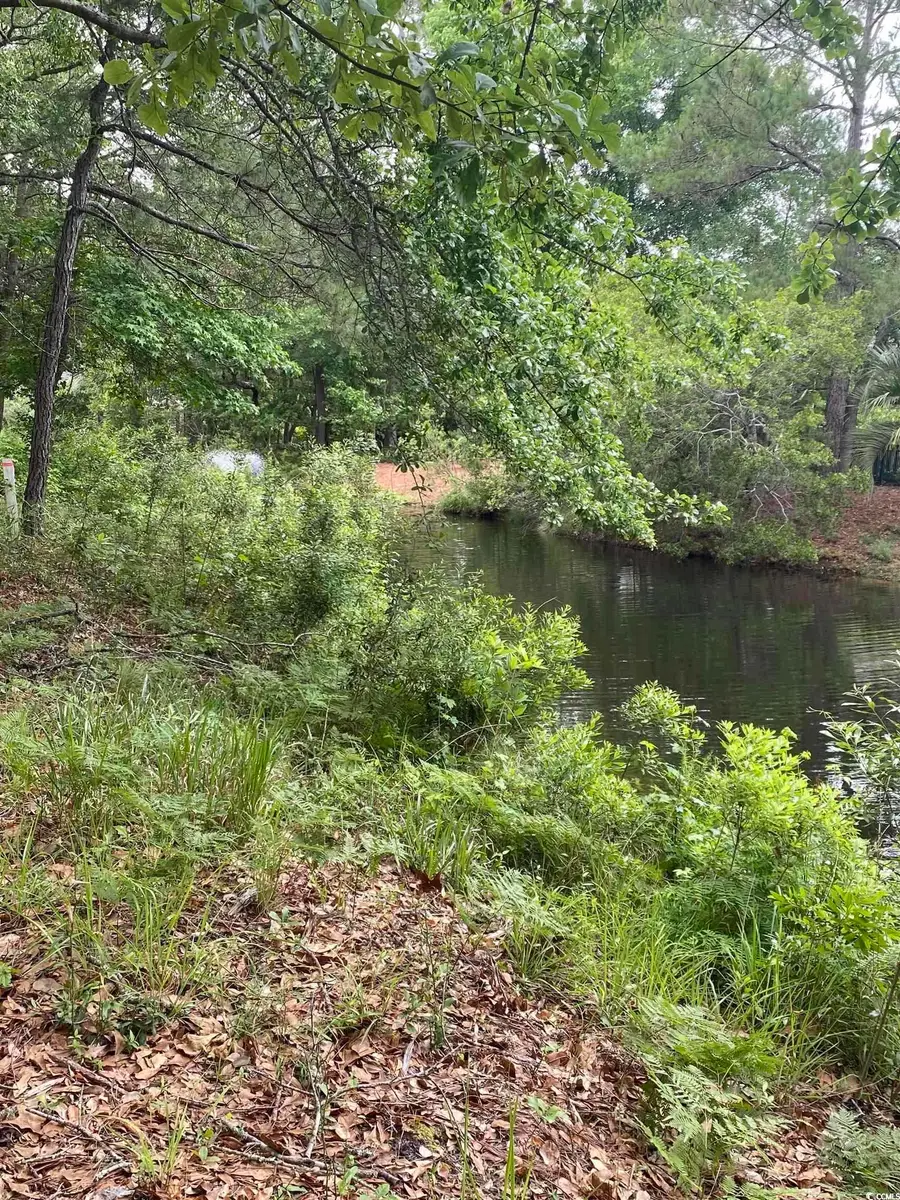 30 Sandy Pine Ct., Pawleys Island, SC 29585 - Image #2