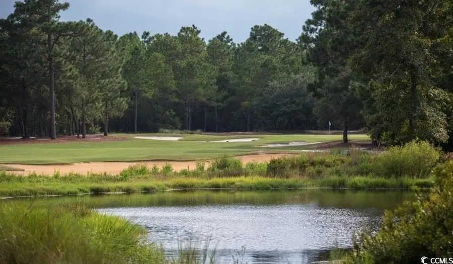 30 Sandy Pine Ct., Pawleys Island, SC 29585 - Image #3