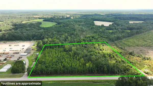 0 Highway 521, Greeleyville, SC 29056