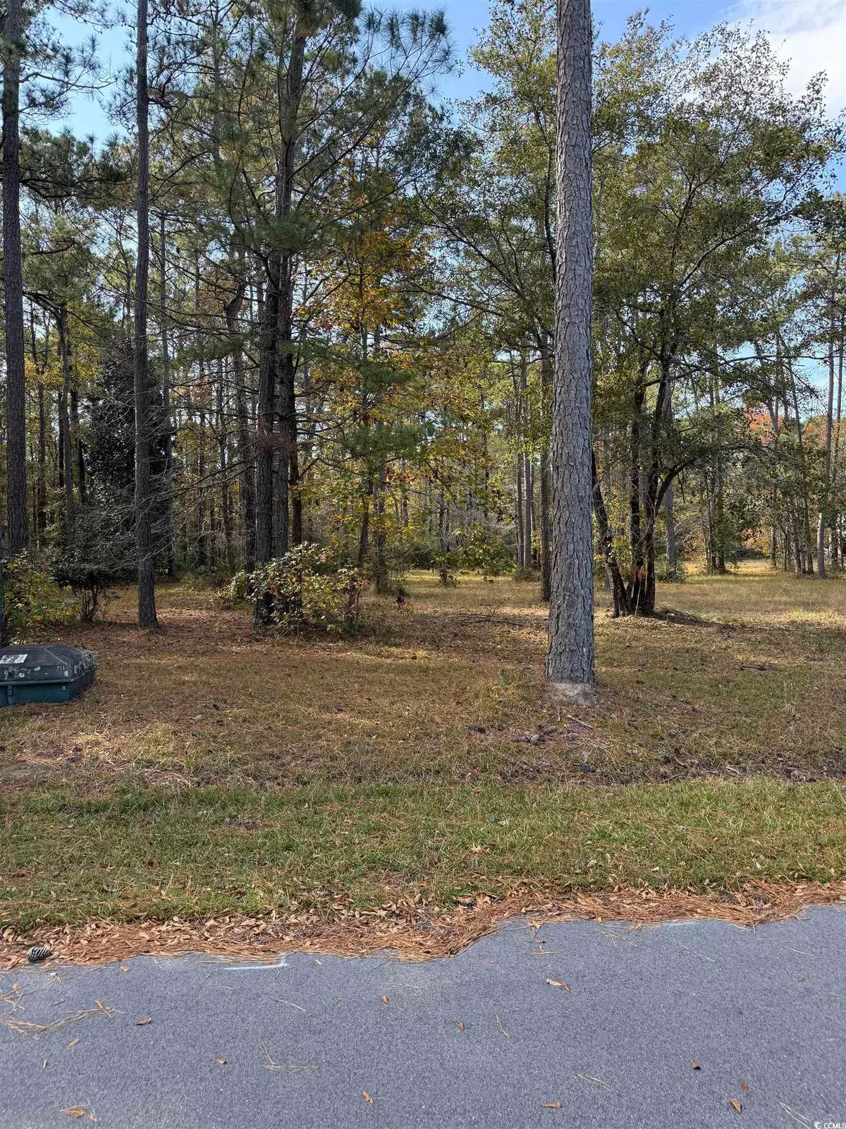 867 Denali Dr., Conway, SC 29526 - Image #1