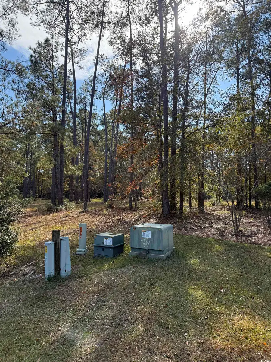 867 Denali Dr., Conway, SC 29526 - Image #3