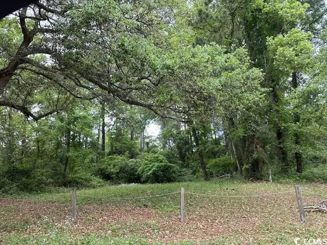 2204 6th Ave., Conway, SC 29527 - Image #1