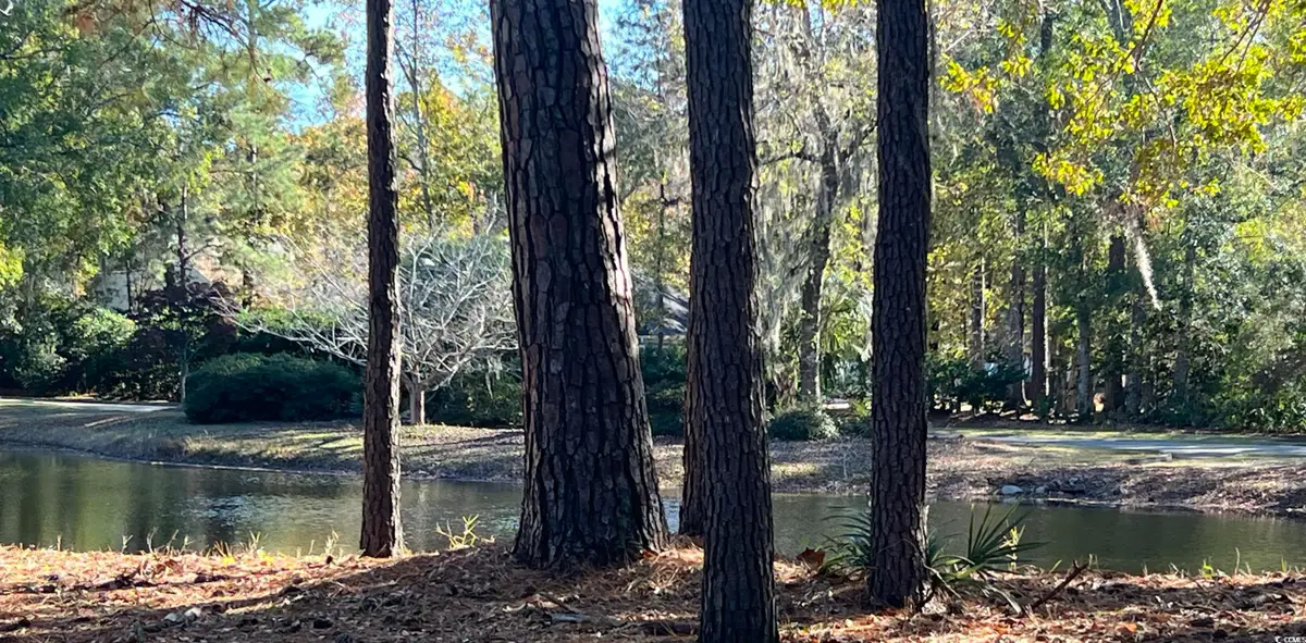 TBD Green Wing Teal Ln., Pawleys Island, SC 29585 - Image #1