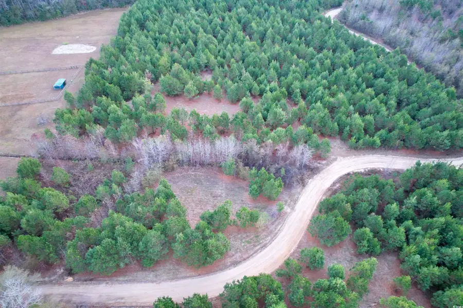 Lot 2 - TBD New Pine Rd., Johnsonville, SC 29555 - Image #2