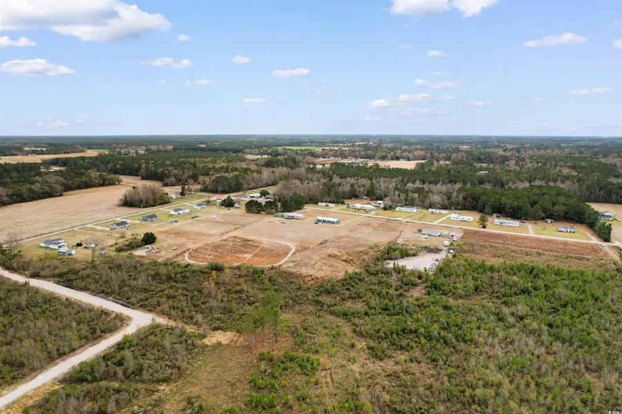 TBD Joyner Swamp Rd., Galivants Ferry, SC 29544 - Image #3
