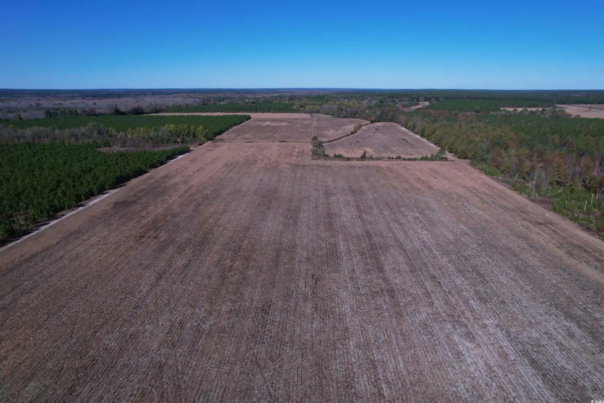 53.86 Acres-TBD Pate Rd, Bishopville, SC 29010 - Image #1