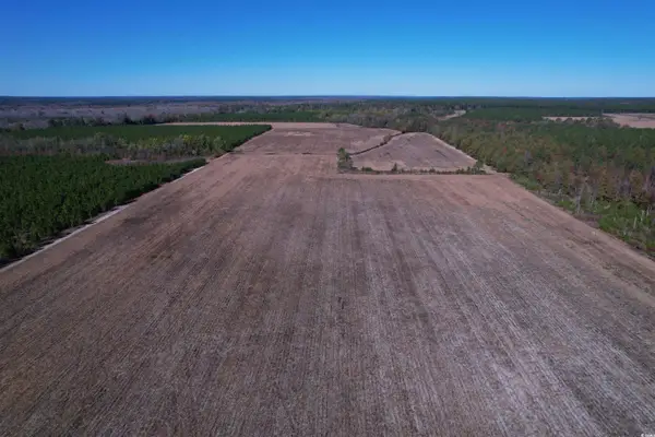 53.86 Acres-TBD Pate Rd, Bishopville, SC 29010