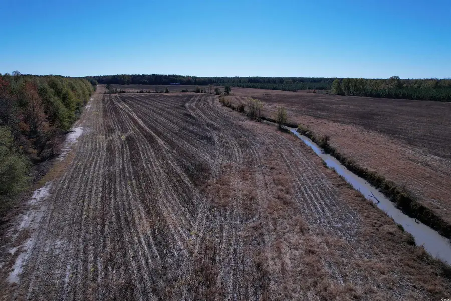 53.86 Acres-TBD Pate Rd, Bishopville, SC 29010 - Image #2