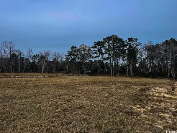 Lot 7 Rena Ln, Conway, SC 29527