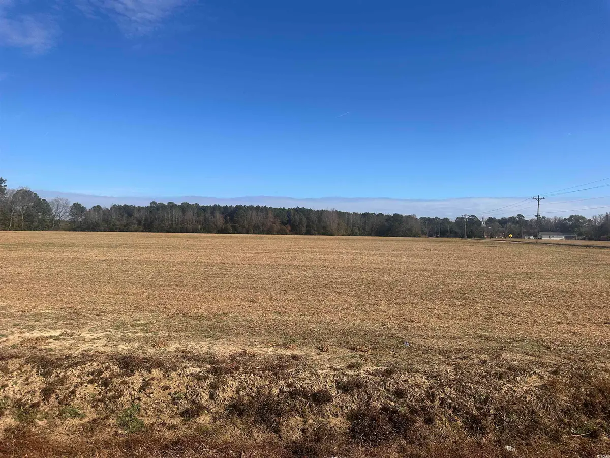 SE Elvington Rd., Nichols, SC 29581 - Image #1