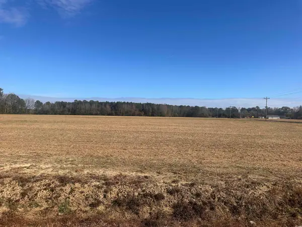 SE Elvington Rd., Nichols, SC 29581