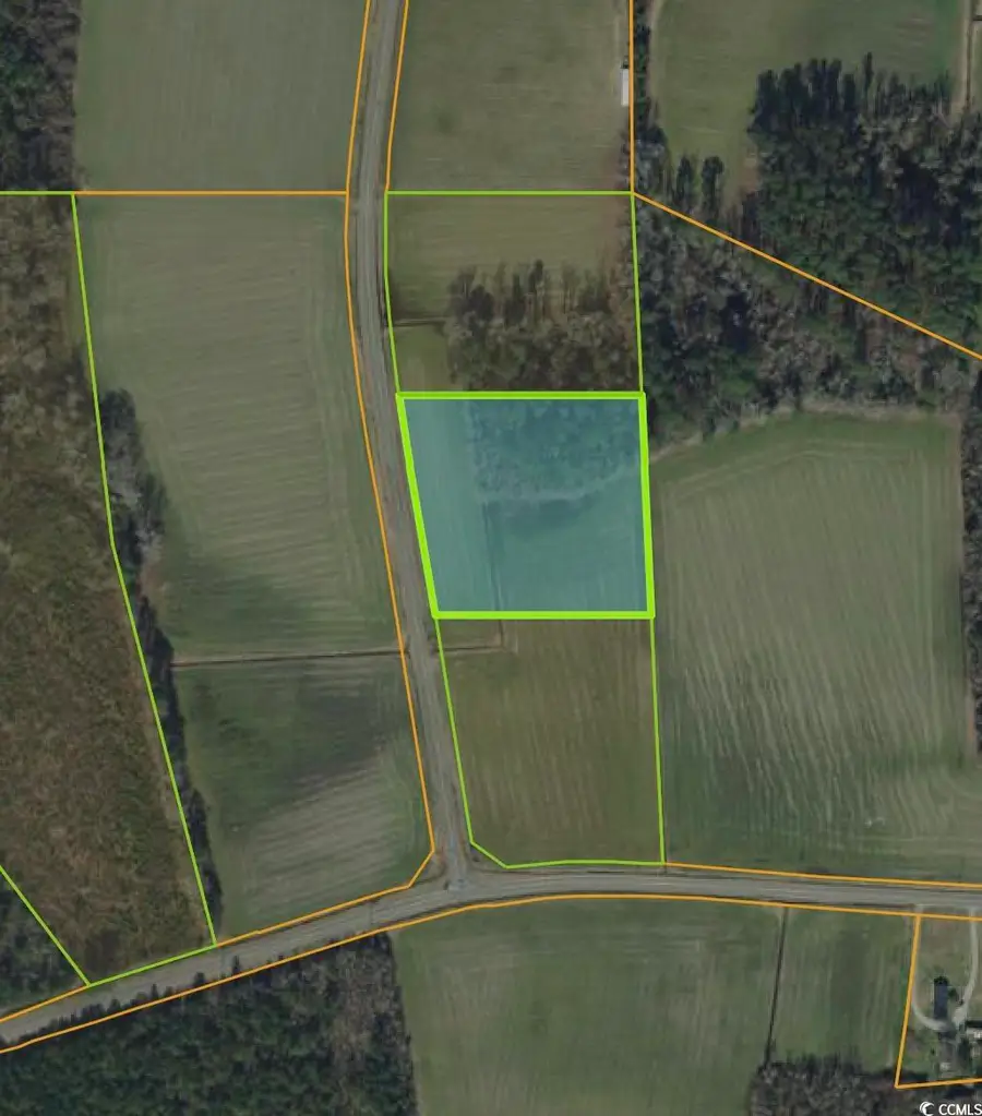 SE Elvington Rd., Nichols, SC 29581 - Image #2