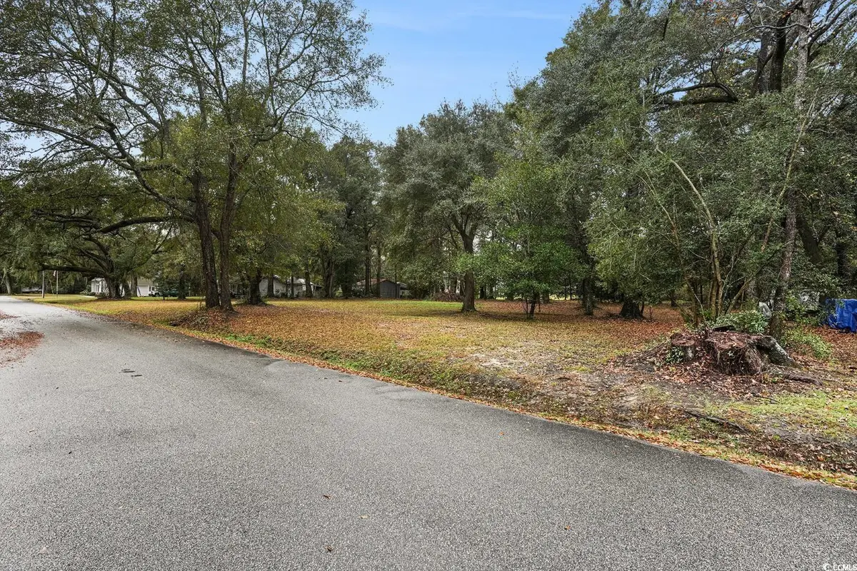 TBD Estate Ln., Georgetown, SC 29440 - Image #1