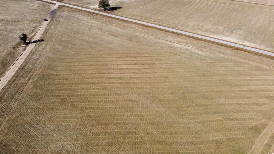 TBD Shelley Ln., Nichols, SC 29581 - Image #3