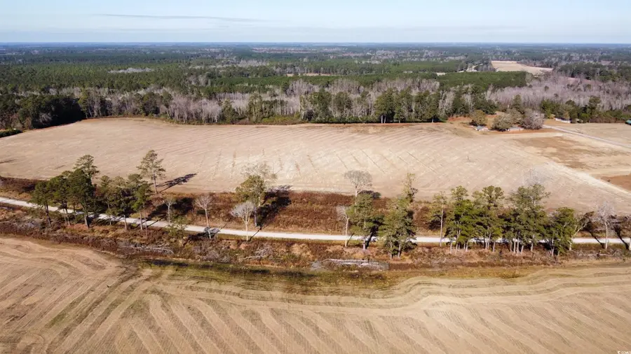 TBD Black Creek Rd., Nichols, SC 29581 - Image #3