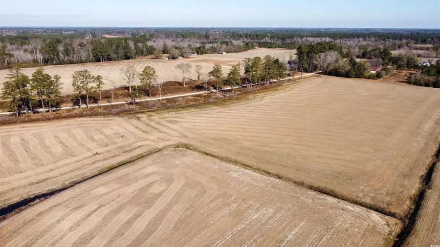 TBD Shelley Ln., Nichols, SC 29581 - Image #3