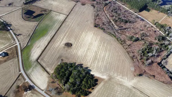 TBD Shelley Ln., Nichols, SC 29581