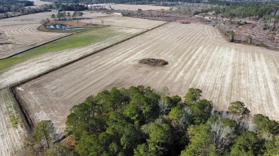 TBD Shelley Ln., Nichols, SC 29581 - Image #3